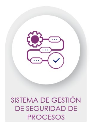 ICONO SG SEGURIDAD DE PROCESOS